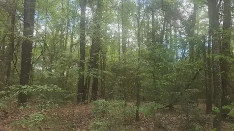 Lot 1 Thornwood Drive Plantersville TX 77363