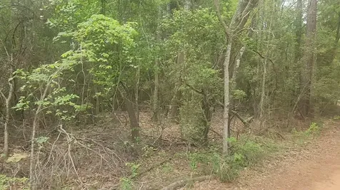 Lot 1 Thornwood Drive Plantersville TX 77363