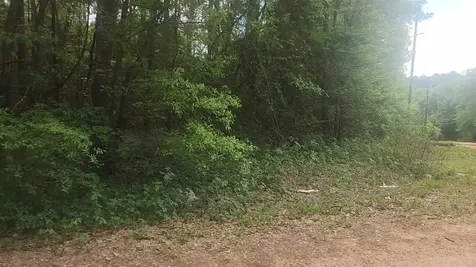 Lot 1 Thornwood Drive Plantersville TX 77363