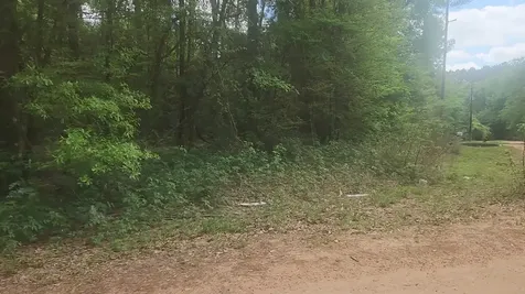 Lot 1 Thornwood Drive Plantersville TX 77363
