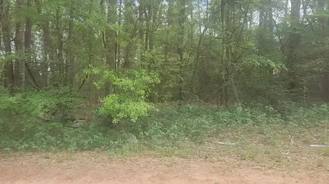 Lot 1 Thornwood Drive Plantersville TX 77363