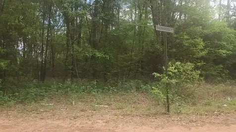 Lot 1 Thornwood Drive Plantersville TX 77363