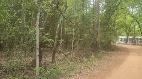 Lot 1 Thornwood Drive Plantersville TX 77363