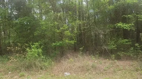 Lot 1 Thornwood Drive Plantersville TX 77363