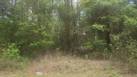 Lot 1 Thornwood Drive Plantersville TX 77363