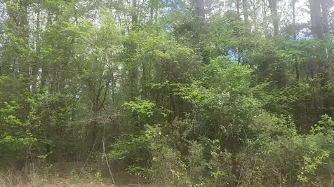 Lot 1 Thornwood Drive Plantersville TX 77363