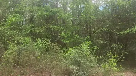 Lot 1 Thornwood Drive Plantersville TX 77363