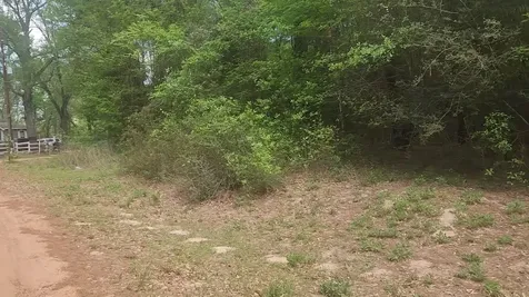 Lot 1 Thornwood Drive Plantersville TX 77363