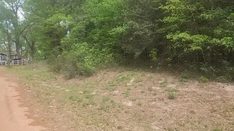 Lot 1 Thornwood Drive Plantersville TX 77363