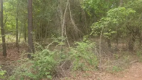 Lot 1 Thornwood Drive Plantersville TX 77363