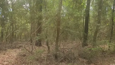 Lot 1 Thornwood Drive Plantersville TX 77363