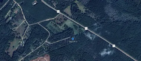 Tbd Davis Lot 31 Livingston TX 77351