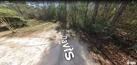 Tbd Davis Lot 31 Livingston TX 77351