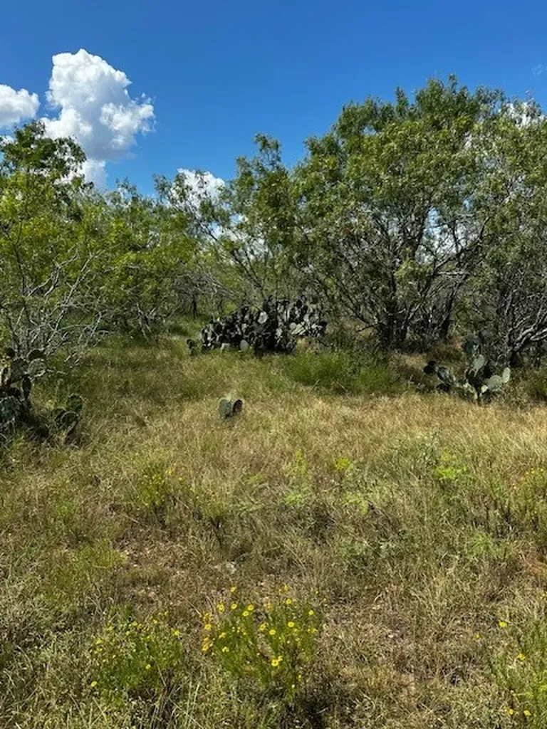 Lot 1 County Road 420 Waelder TX 78959