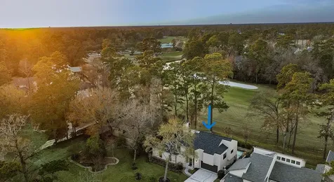 15 Crinkleroot Court The Woodlands TX 77380