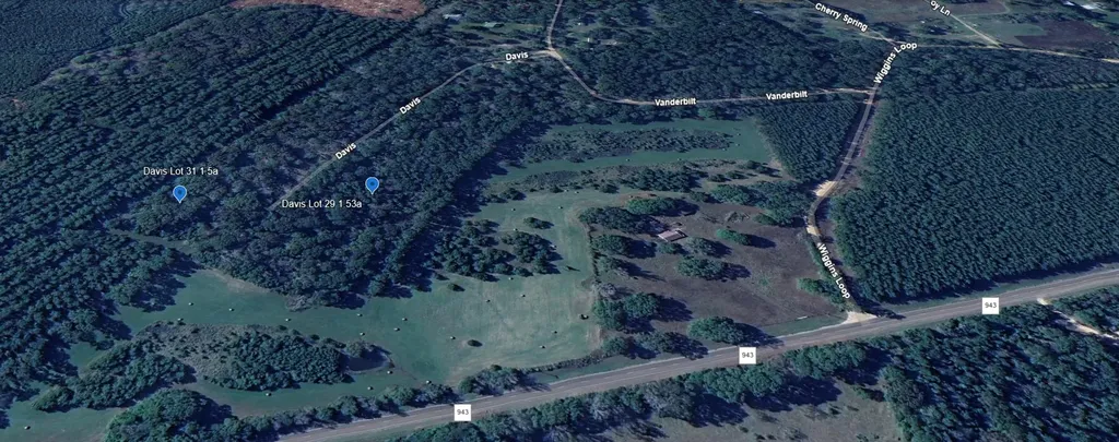Tbd Davis Lot 29 Livingston TX 77351