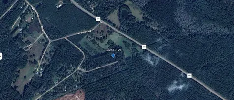 Tbd Davis Lot 29 Livingston TX 77351