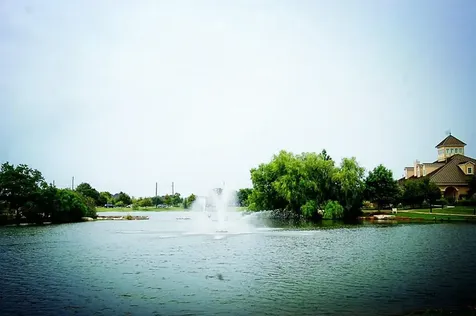 29322 Wood Lily Drive Katy TX 77494
