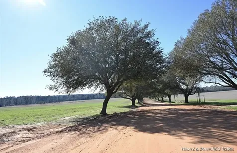 503 S Green Valley Woodville TX 75979