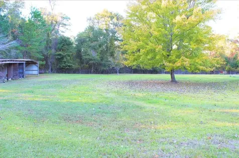 1493 Mollywood Road Zavalla TX 75980