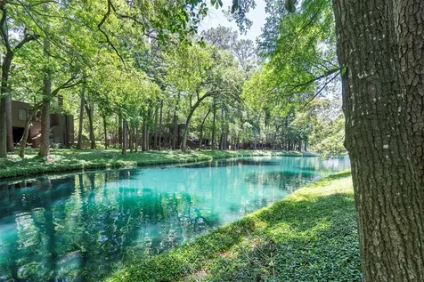 161 Litchfield Lane Houston TX 77024