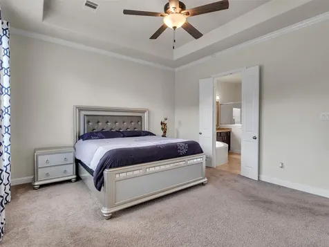 19115 Blooms Rise Drive Tomball TX 77377