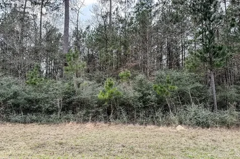 Lot 13 Chisholm Trail Huntsville TX 77340