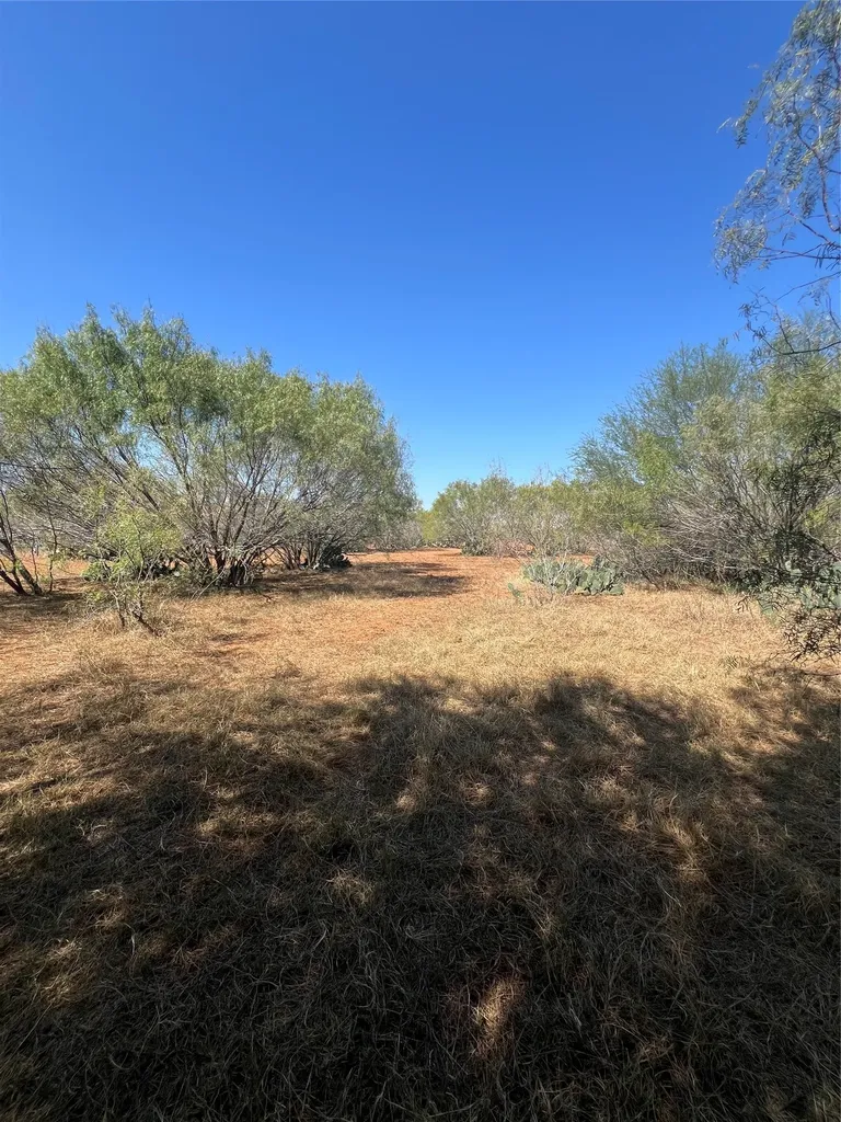 50 Cr 321 Tract 16 J243 Jourdanton TX 78026
