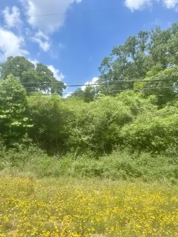 Lot 5 Meadowood Drive Hilltop Lakes TX 77871