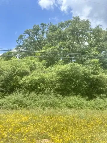 Lot 5 Meadowood Drive Hilltop Lakes TX 77871