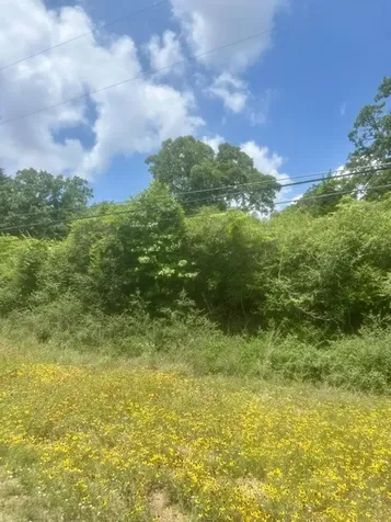 Lot 5 Meadowood Drive Hilltop Lakes TX 77871