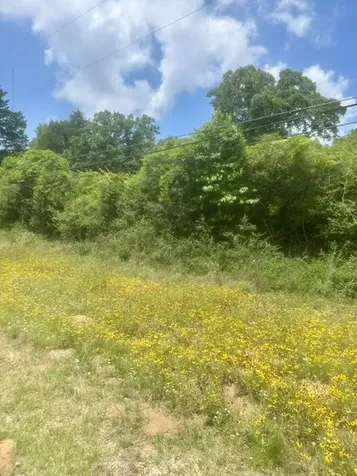 Lot 5 Meadowood Drive Hilltop Lakes TX 77871