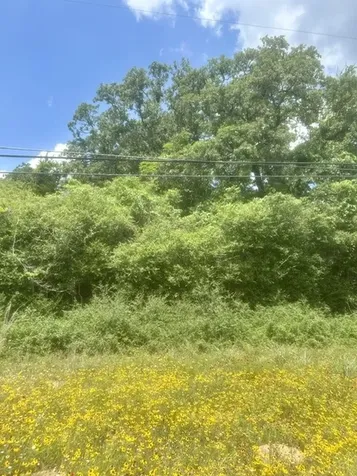 Lot 5 Meadowood Drive Hilltop Lakes TX 77871