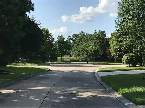 11 Trilling Bird Place The Woodlands TX 77384