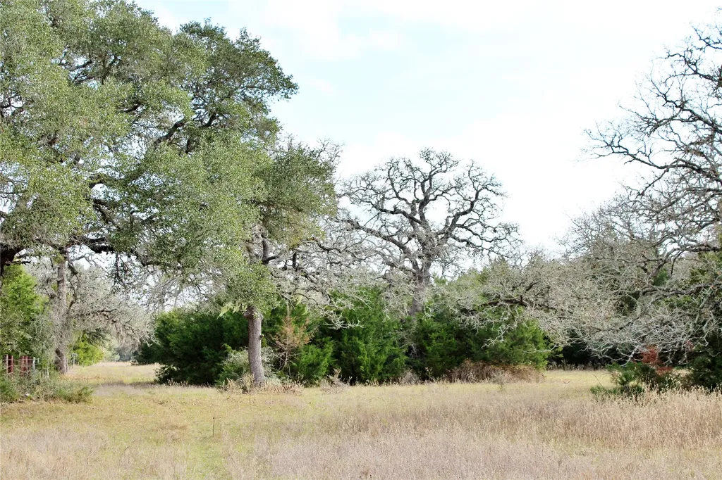 Tbd Parcel 10 Lobo Lane Columbus TX 78934