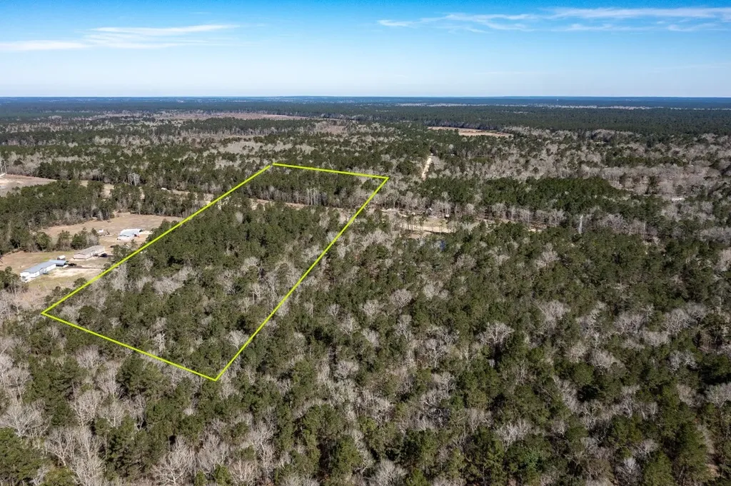651 Jayhawker Road Cleveland TX 77328