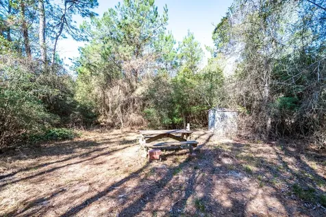 651 Jayhawker Road Cleveland TX 77328