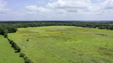Tbd Cr 328, Tract 4, 10 Acres Caldwell TX 77836