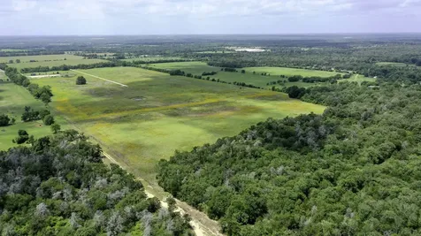 Tbd Cr 328, Tract 4, 10 Acres Caldwell TX 77836