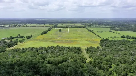 Tbd Cr 328, Tract 4, 10 Acres Caldwell TX 77836