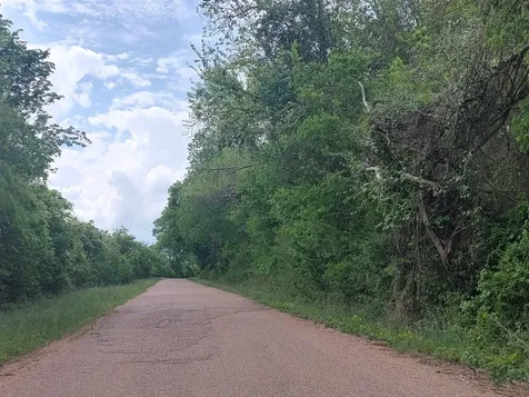 Tbd Cr 328, Tract 4, 10 Acres Caldwell TX 77836