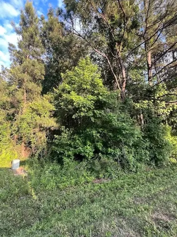 108 Peach Creek Drive New Caney TX 77357