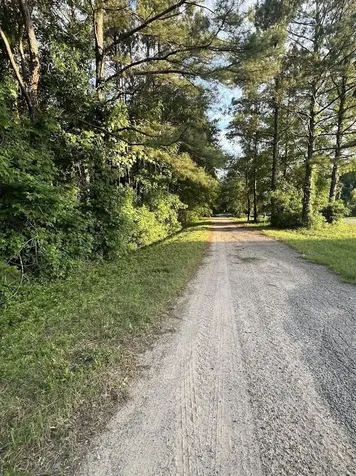 108 Peach Creek Drive New Caney TX 77357