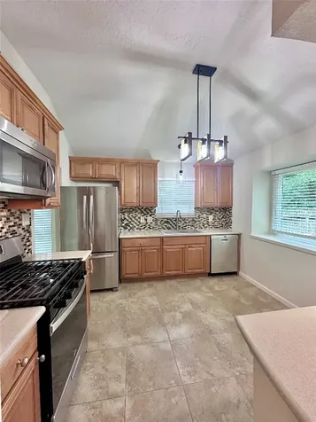 15 Tremont Woods Court The Woodlands TX 77381