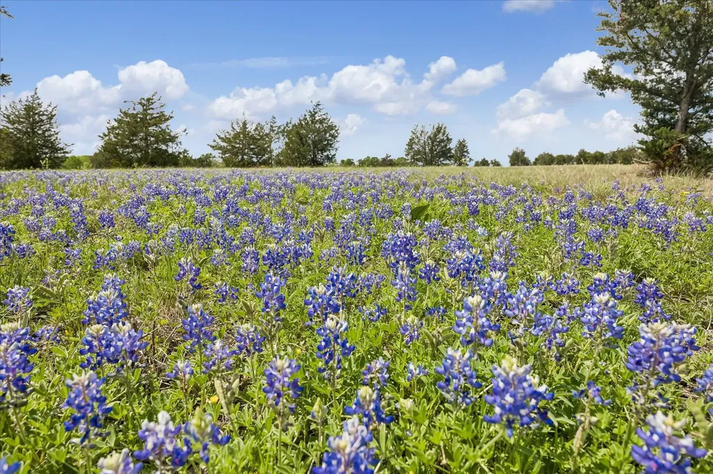 13630 Fm 1155 E Washington TX 77880