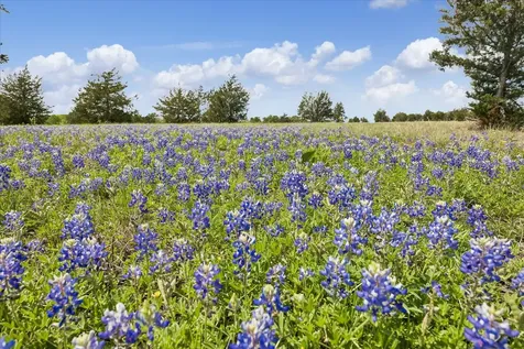 13630 Fm 1155 E Washington TX 77880
