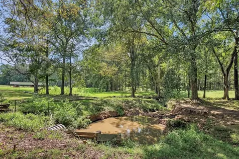 249 Cr 350 Broaddus TX 75929