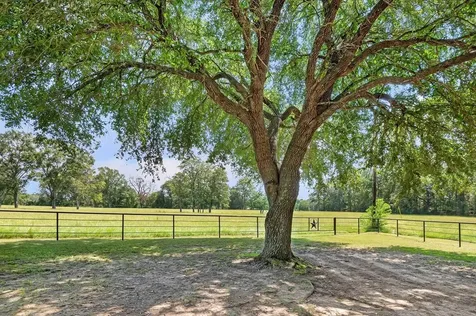 249 Cr 350 Broaddus TX 75929