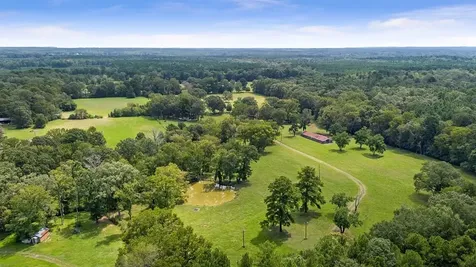249 Cr 350 Broaddus TX 75929