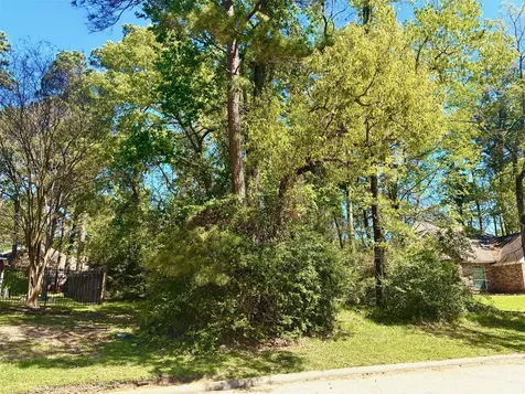 3015 Chaucer Drive Montgomery TX 77356
